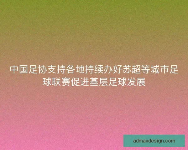 中国足协支持各地持续办好苏超等城市足球联赛促进基层足球发展